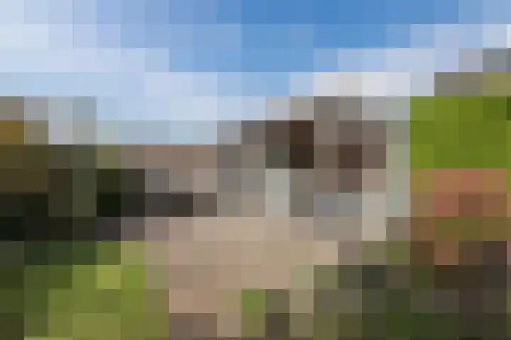 Hoefblad 32 Nieuwleusen thumbnail 39