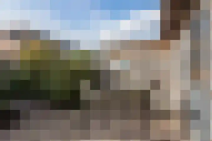 Hoefblad 32 Nieuwleusen thumbnail 40