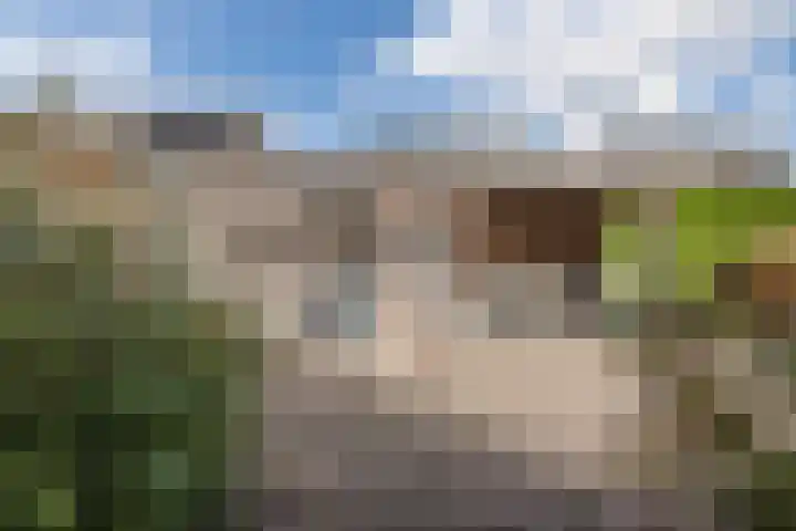 Hoefblad 32 Nieuwleusen thumbnail 41