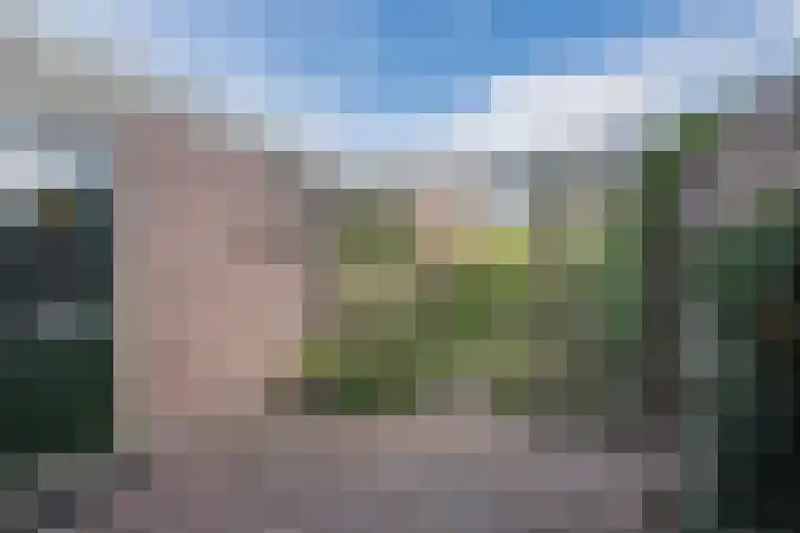 Hoefblad 32 Nieuwleusen thumbnail 42