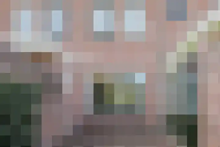 Hoefblad 32 Nieuwleusen thumbnail 43