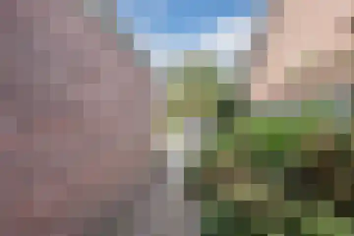 Hoefblad 32 Nieuwleusen thumbnail 44