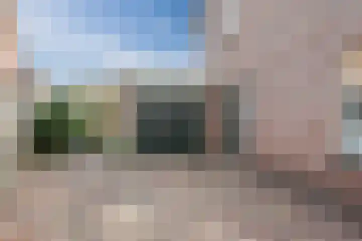 Hoefblad 32 Nieuwleusen thumbnail 45