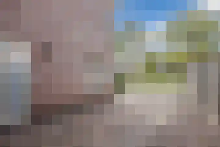 Hoefblad 32 Nieuwleusen thumbnail 46