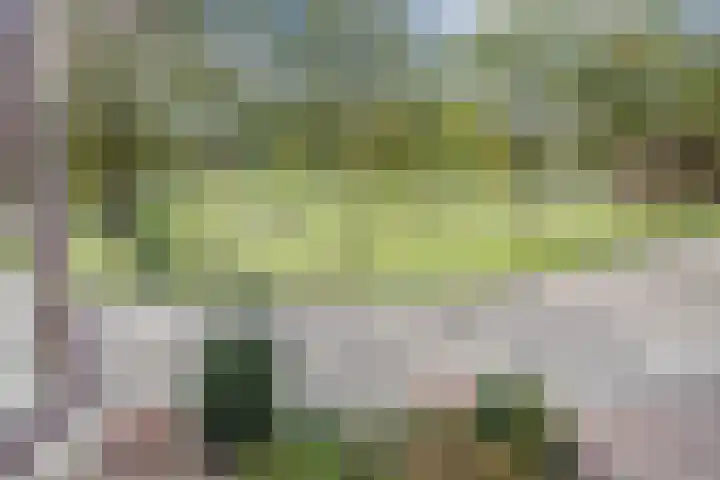 Hoefblad 32 Nieuwleusen thumbnail 47