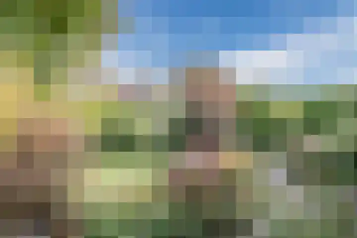 Hoefblad 32 Nieuwleusen thumbnail 48