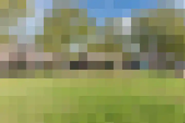 Hoefblad 32 Nieuwleusen thumbnail 50