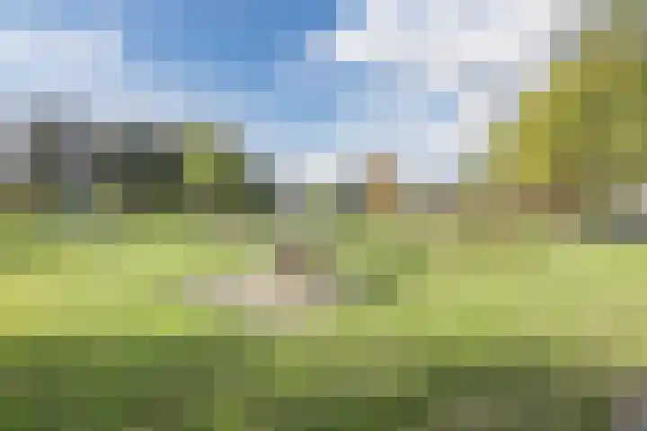 Hoefblad 32 Nieuwleusen thumbnail 52