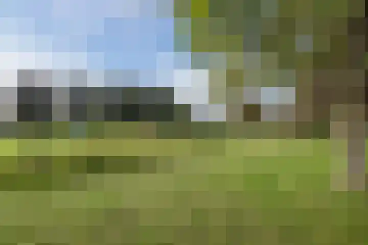 Hoefblad 32 Nieuwleusen thumbnail 53
