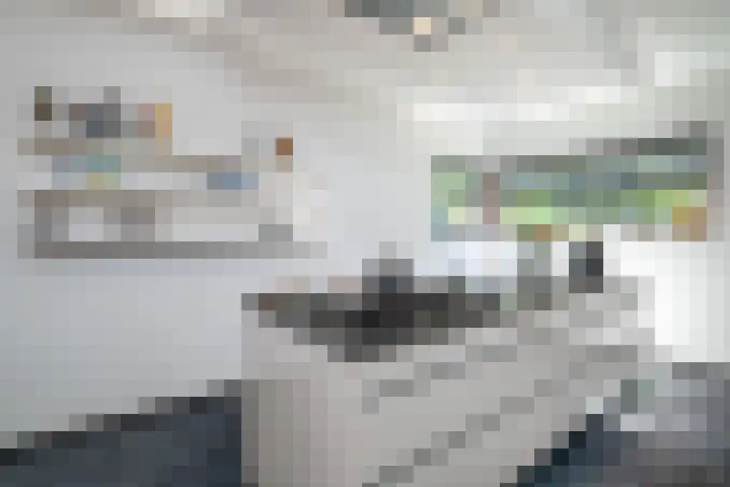 Hoefblad 33 Heerlen thumbnail 12