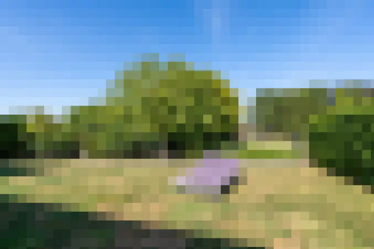 Hoefblad 33 Heerlen thumbnail 25