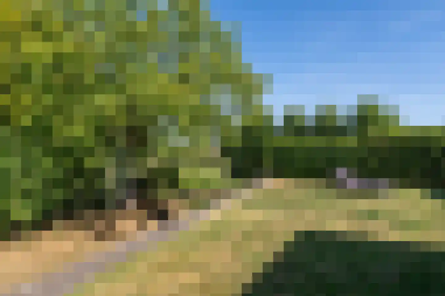 Hoefblad 33 Heerlen thumbnail 26