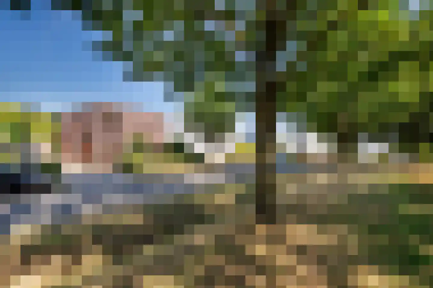 Hoefblad 33 Heerlen thumbnail 28