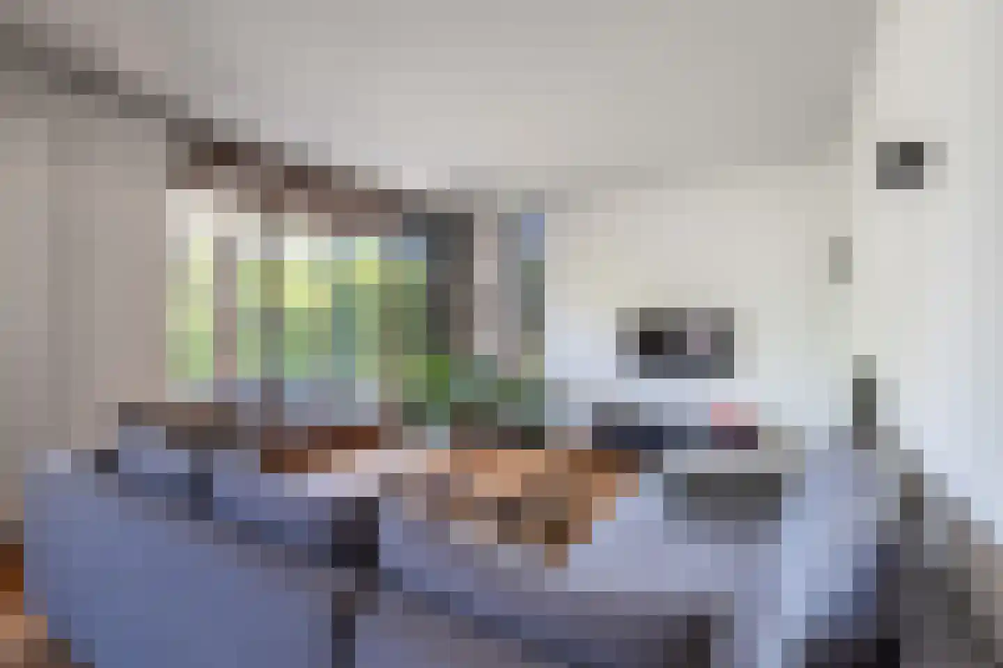 Hoefblad 33 Heerlen thumbnail 4