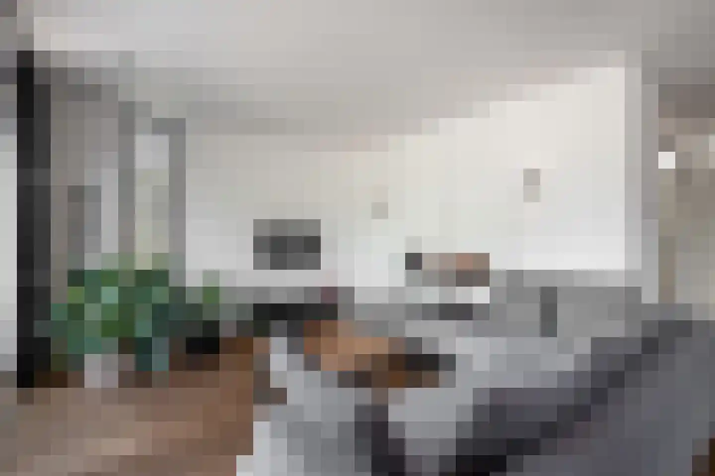Hoefblad 33 Heerlen thumbnail 5