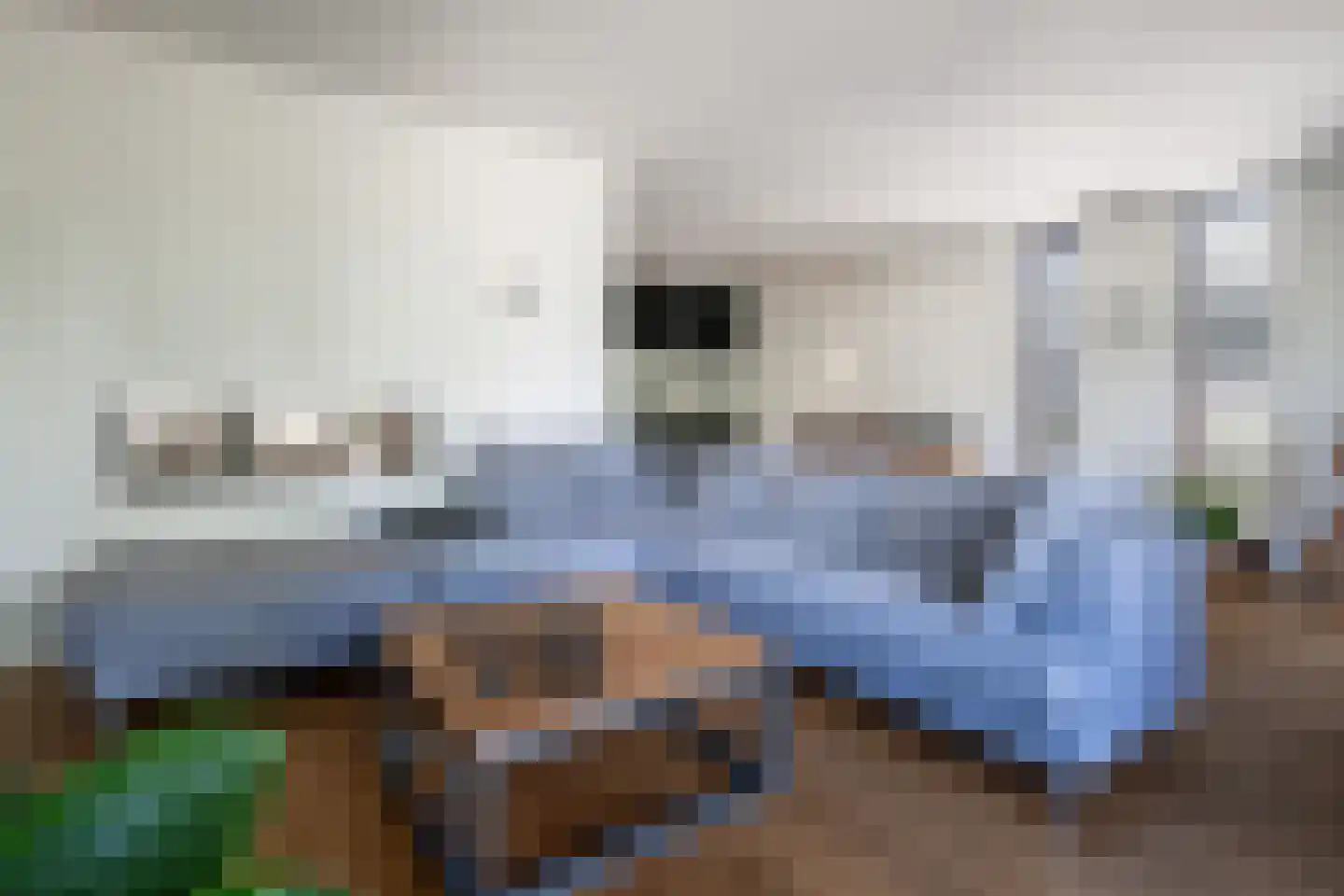 Hoefblad 33 Heerlen thumbnail 6