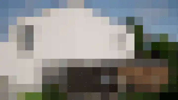 Hoefblad 35 Heerlen thumbnail 7