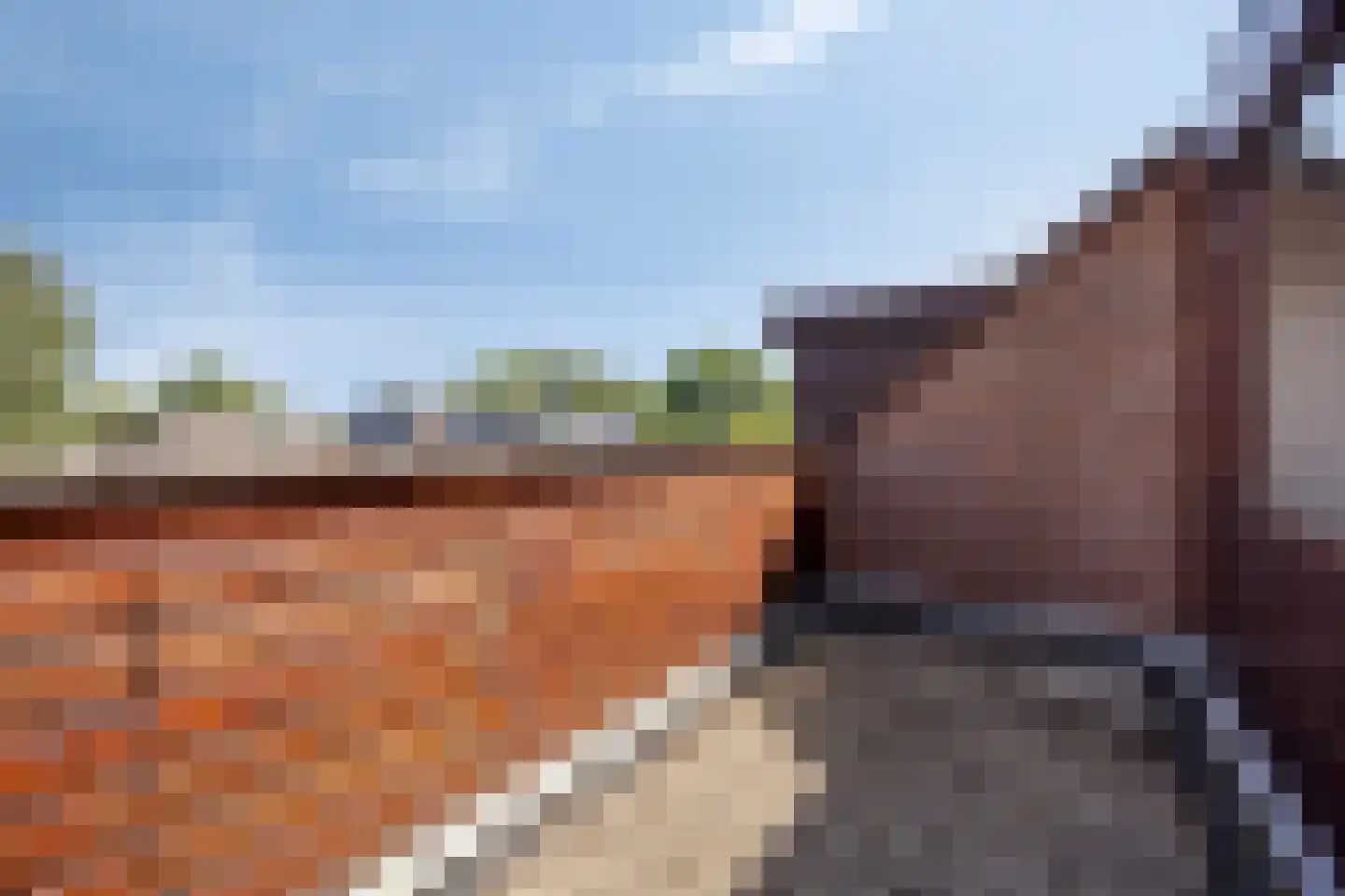 Hoefblad 35 Purmerend thumbnail 27