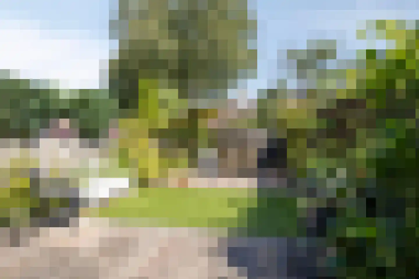 Hoefblad 35 Purmerend thumbnail 28