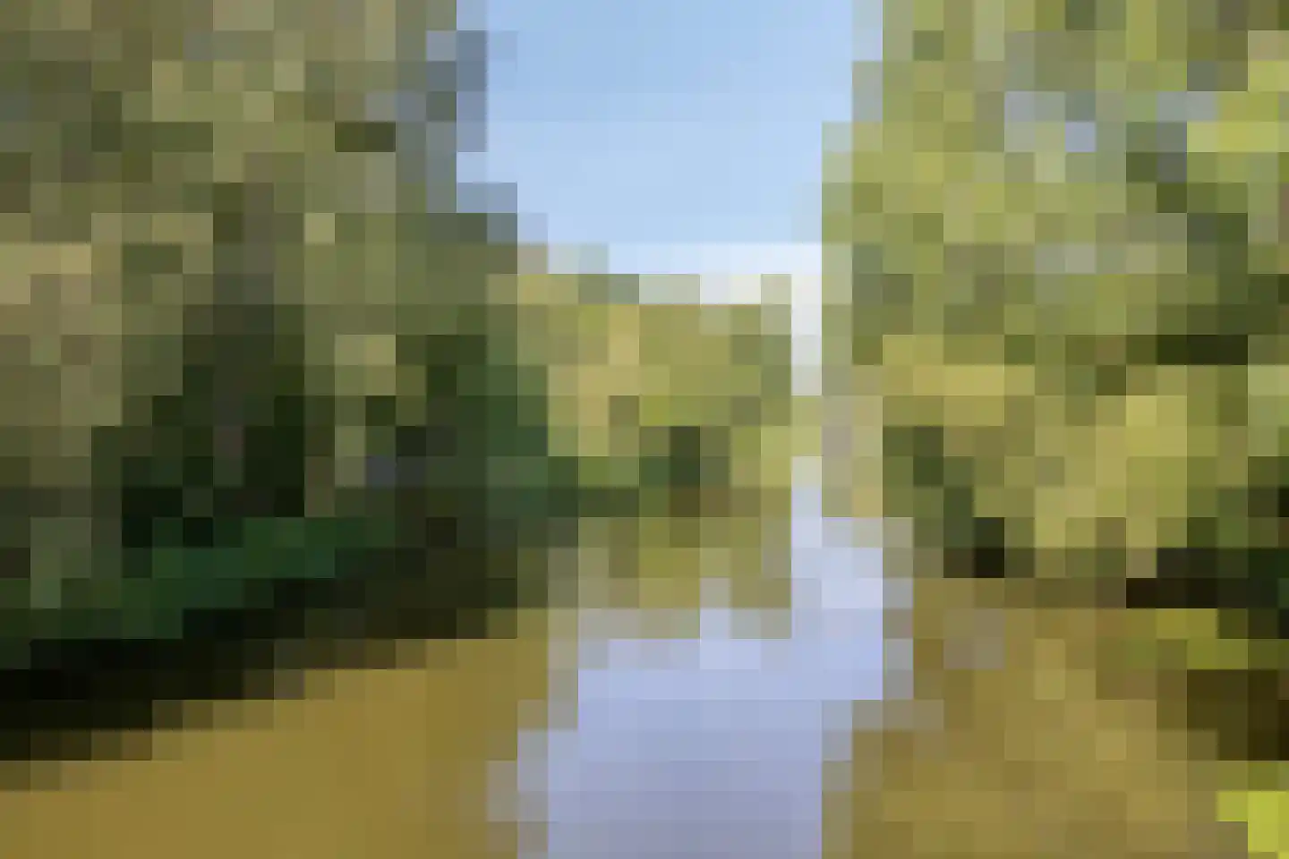 Hoefblad 35 Purmerend thumbnail 31