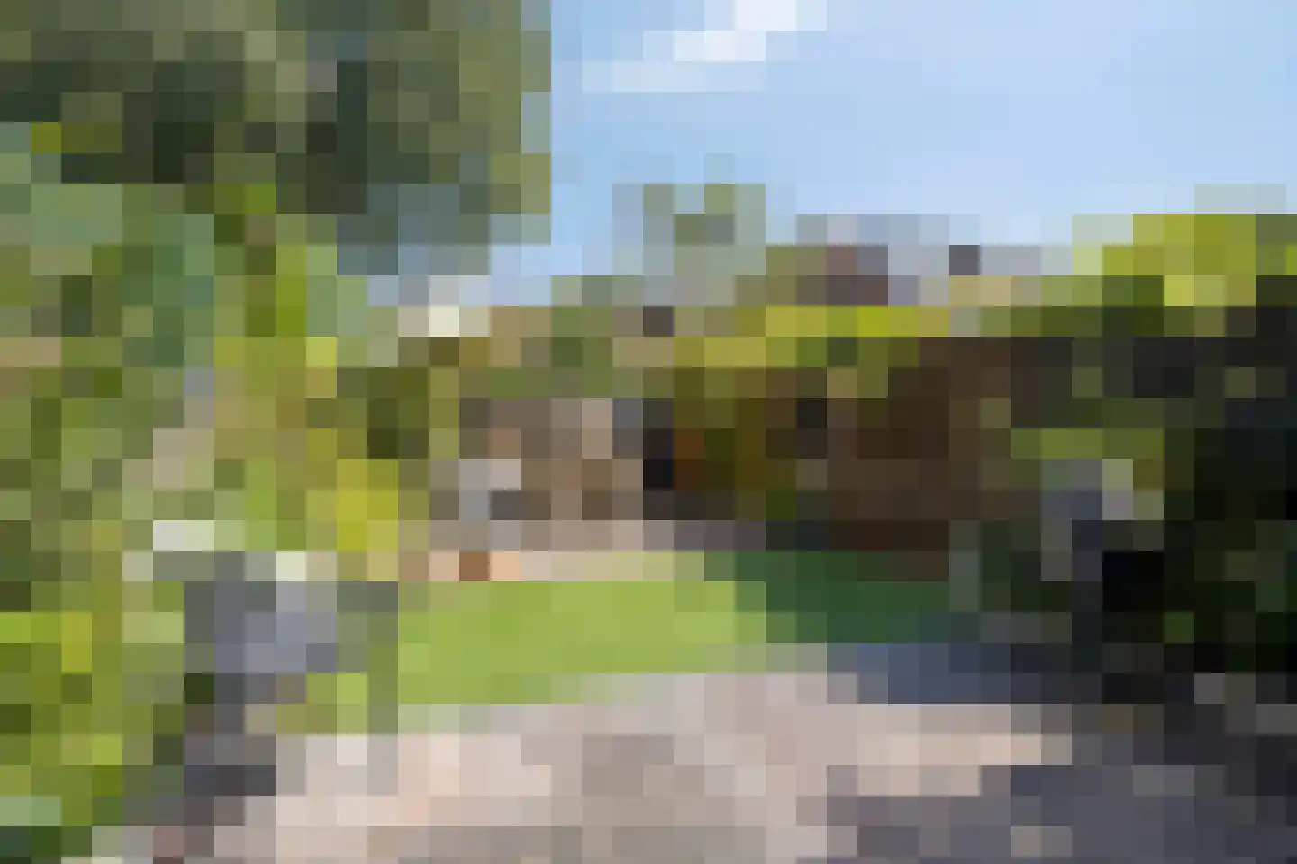 Hoefblad 35 Purmerend thumbnail 5