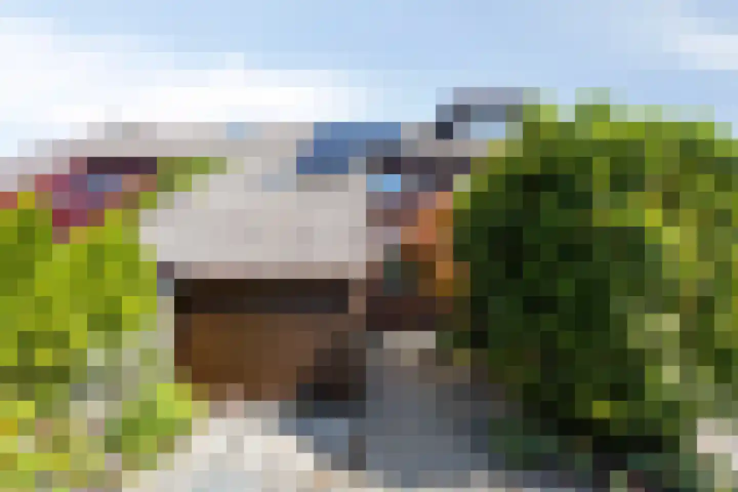 Hoefblad 35 Purmerend thumbnail 6