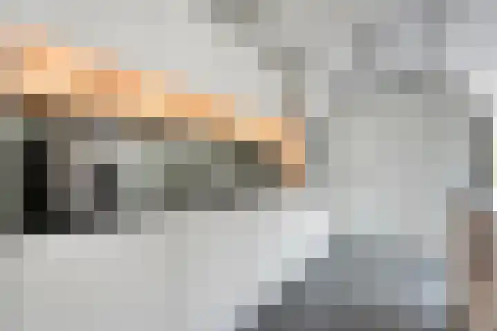 Hoefblad 36 Nieuwleusen thumbnail 10