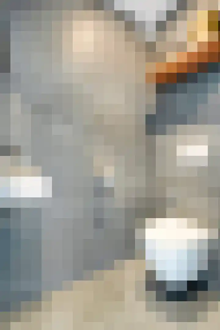 Hoefblad 36 Nieuwleusen thumbnail 13