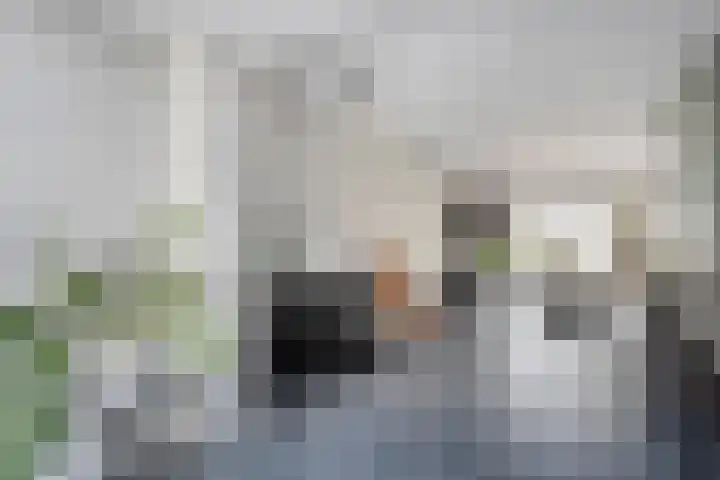 Hoefblad 36 Nieuwleusen thumbnail 18