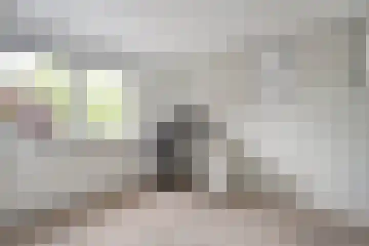 Hoefblad 36 Nieuwleusen thumbnail 31