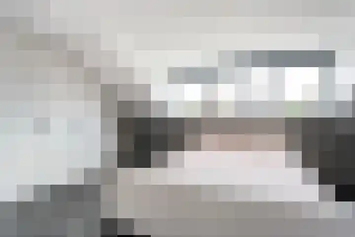 Hoefblad 36 Nieuwleusen thumbnail 33