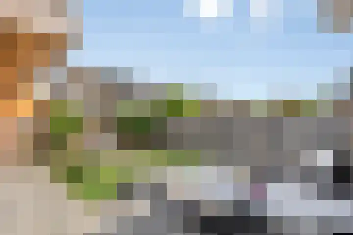 Hoefblad 36 Nieuwleusen thumbnail 39