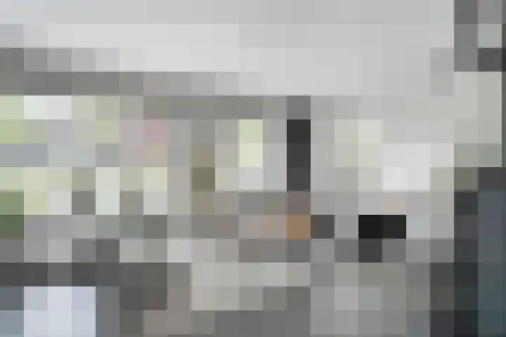 Hoefblad 36 Nieuwleusen thumbnail 4