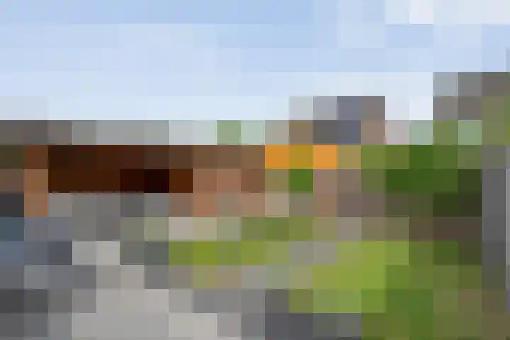 Hoefblad 36 Nieuwleusen thumbnail 40