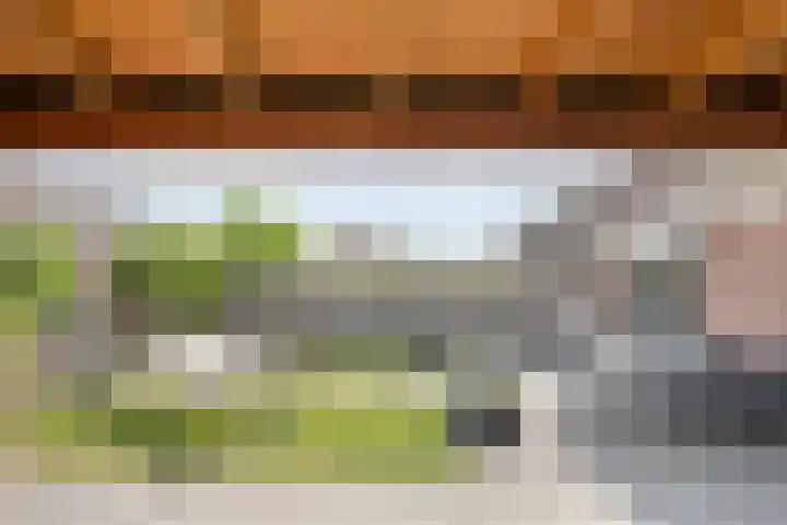 Hoefblad 36 Nieuwleusen thumbnail 41