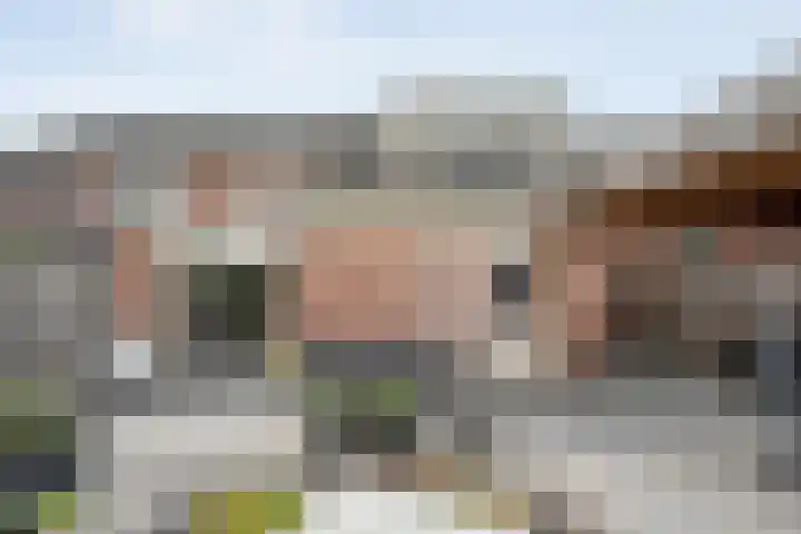 Hoefblad 36 Nieuwleusen thumbnail 43