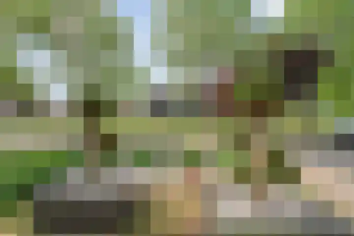 Hoefblad 36 Nieuwleusen thumbnail 46