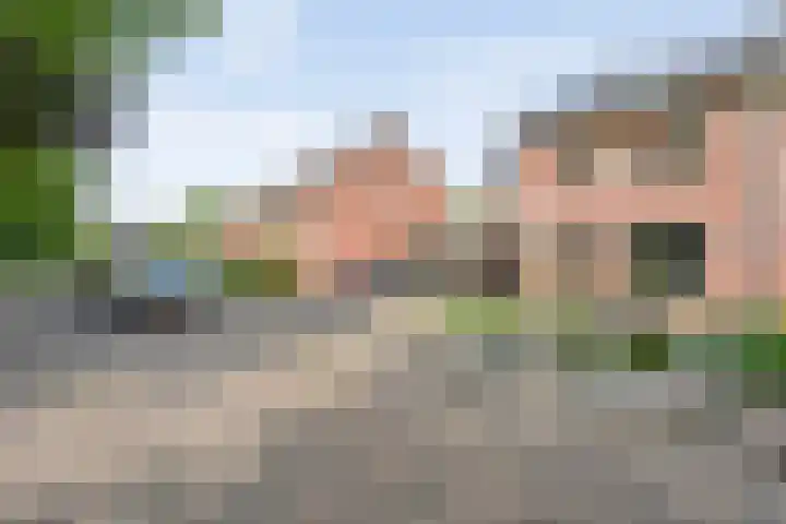 Hoefblad 36 Nieuwleusen thumbnail 47