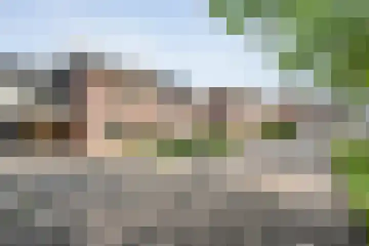 Hoefblad 36 Nieuwleusen thumbnail 48