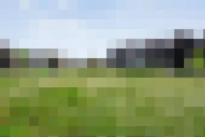 Hoefblad 36 Nieuwleusen thumbnail 49