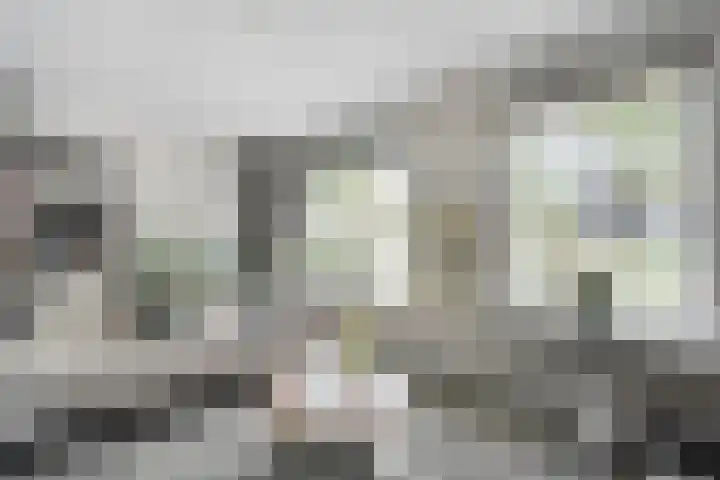 Hoefblad 36 Nieuwleusen thumbnail 5