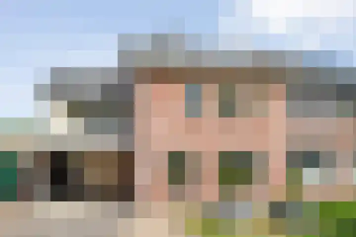 Hoefblad 36 Nieuwleusen thumbnail 55