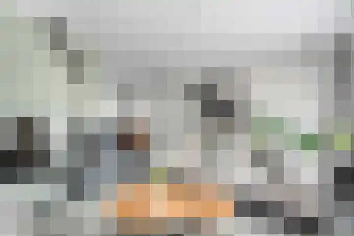 Hoefblad 36 Nieuwleusen thumbnail 6