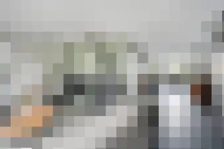 Hoefblad 36 Nieuwleusen thumbnail 7