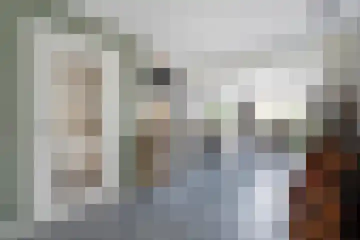 Hoefblad 36 Nieuwleusen thumbnail 8