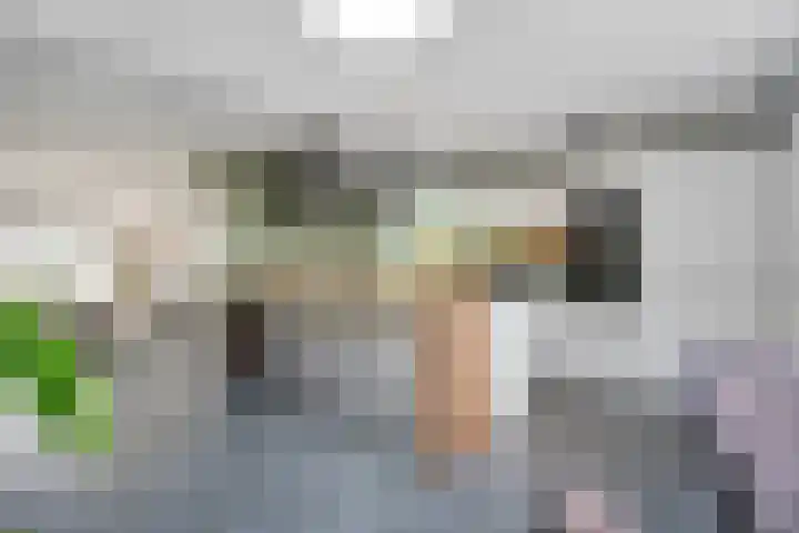 Hoefblad 36 Nieuwleusen thumbnail 9