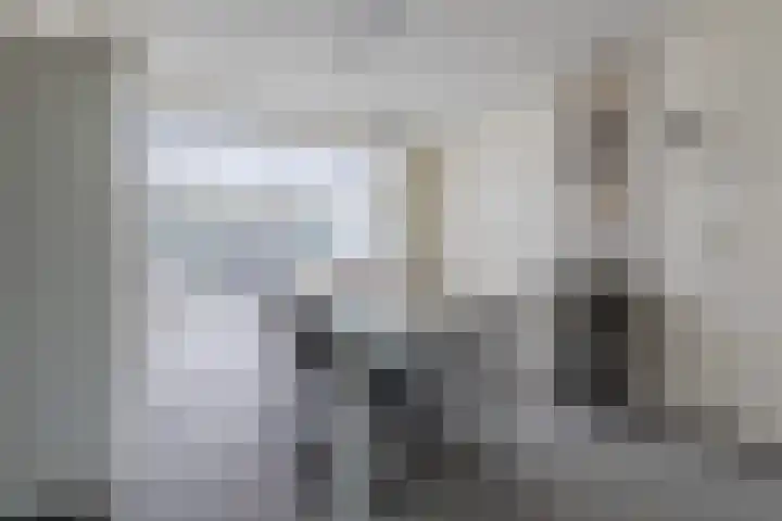 Hoefblad 44 Hapert thumbnail 11