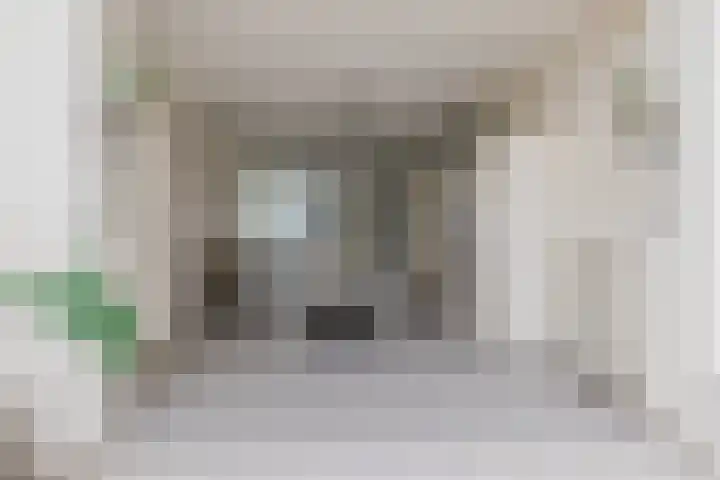 Hoefblad 44 Hapert thumbnail 13