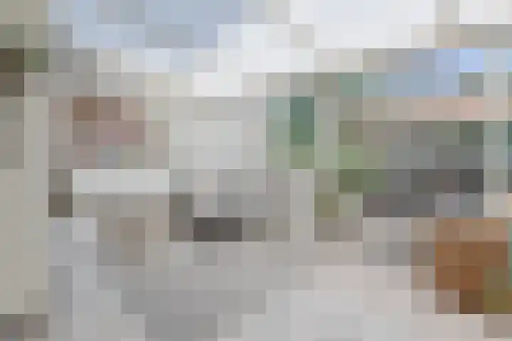 Hoefblad 44 Hapert thumbnail 14