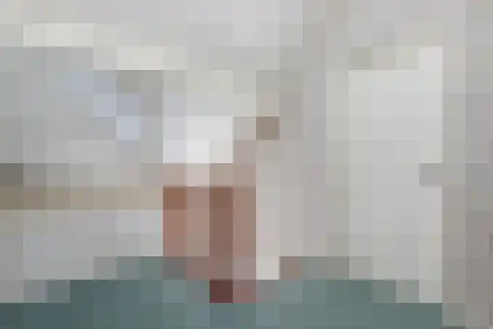 Hoefblad 44 Hapert thumbnail 33